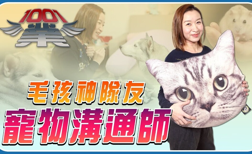 聽見毛孩的心聲!寵物溝通師工作內容、入行指南與薪水解析